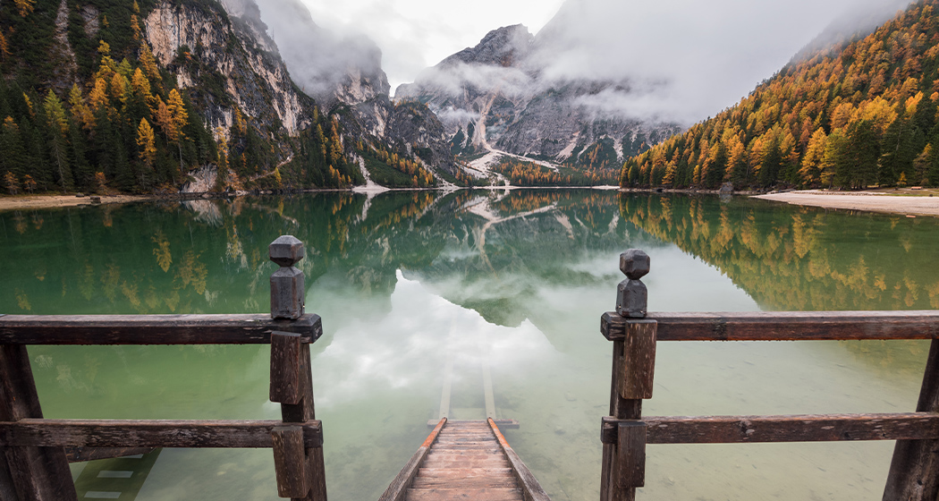 Sed fringilla mauris sit amet nibh